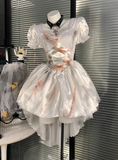 Puffed Sleeve Pleated Halloween Costumes Cosplay Dress Short Women Dress HZ0319