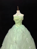 Sweet Prom Dress Strapless Pleated Tulle Birthday Dress Evening Dress Ball Gown HZ0319