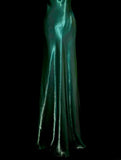 Elegant Prom Dress Green Spaghetti Straps Long Prom Dress Birthday Dress Evening Dress HZ0319