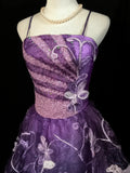 Stunning Prom Dress Spaghetti Straps Evening Dress Cocktail Dress HZ0319