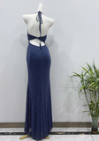 Pretty Prom Dress Halter Pleated Evening Dress Birthday Party Dress Evening Dress HZ0319