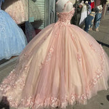 Retro Pink Sweetheart Appliqued 3D Flower A-Line Tulle 18 Birthday Quinceanera Dresses Evening Ball Gowns HZ0319